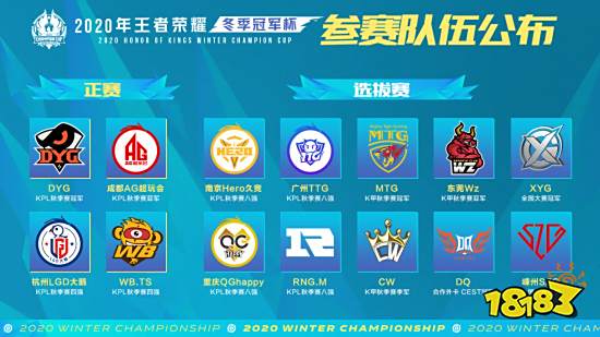 球的品牌形 球的品牌形