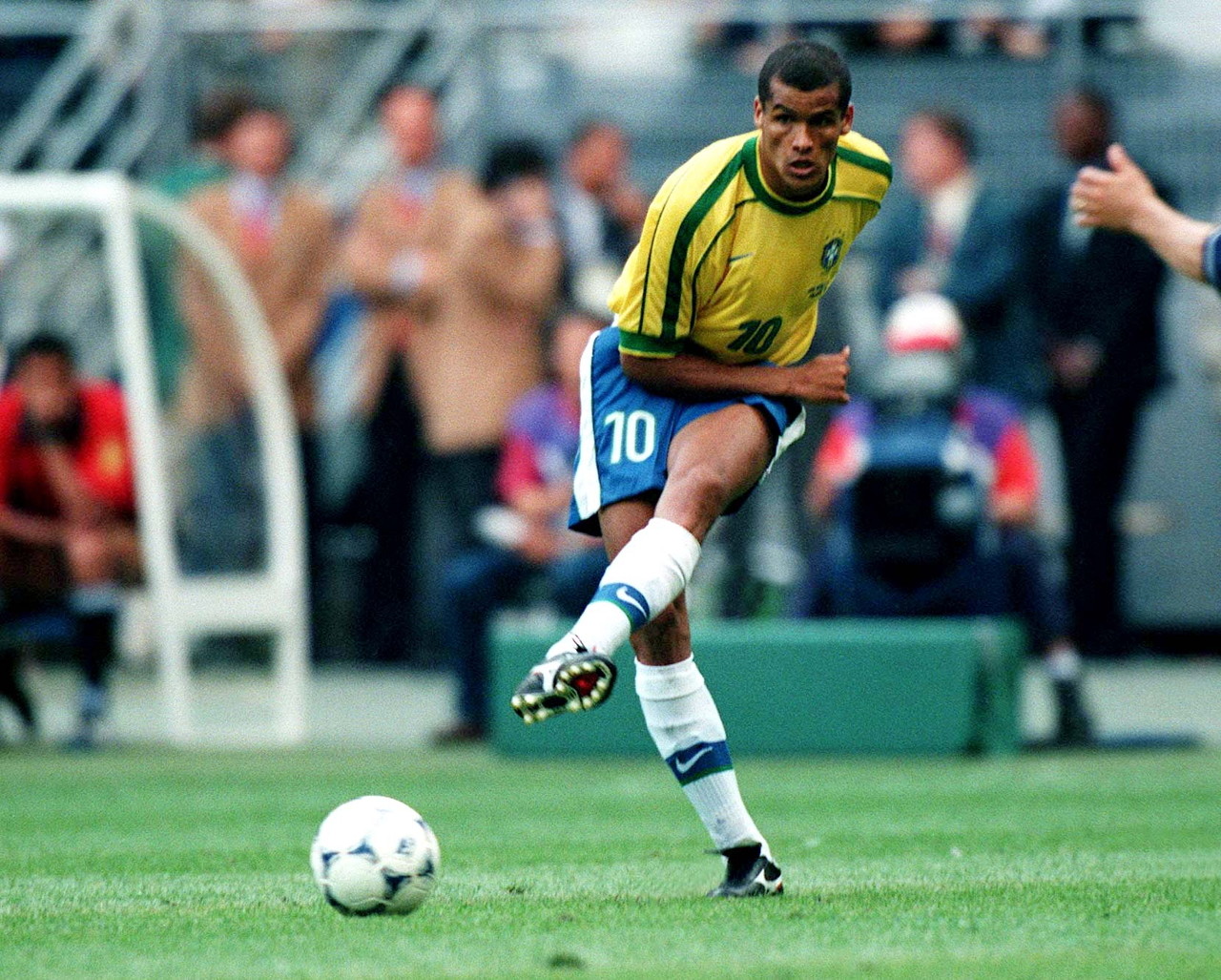 具有极高的 具有极高的