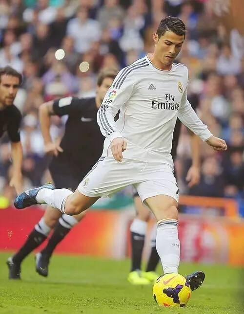 业内专家建 业内专家建