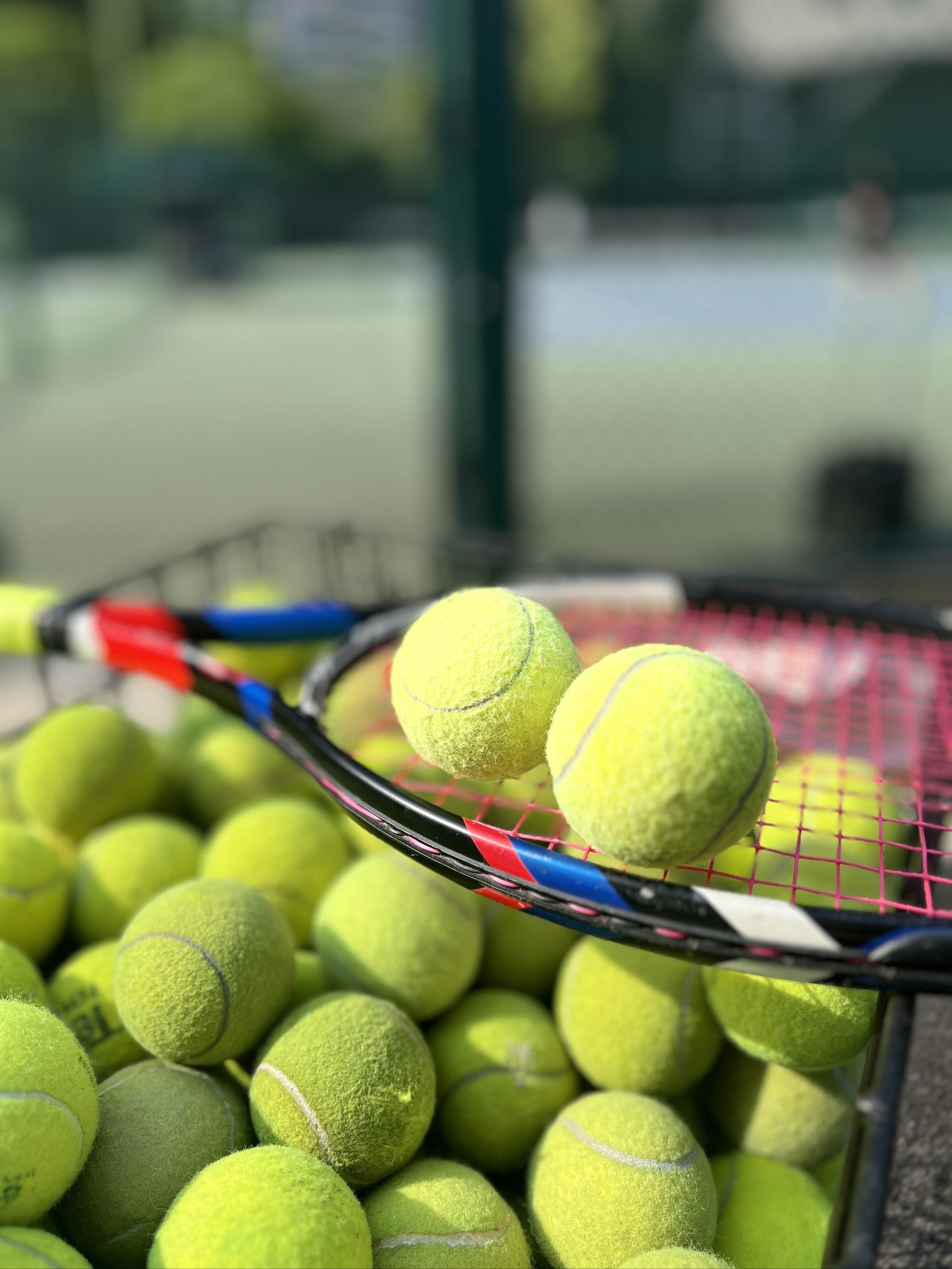 第12个主 第12个主